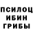 Псилоцибиновые грибы GOLDEN TEACHER Andrey Masalskiy